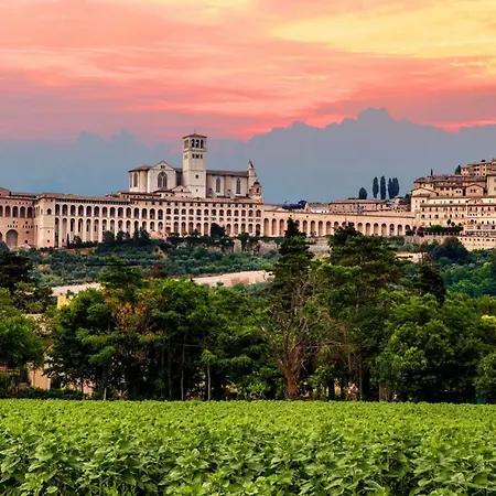San Francesco 3* Assisi